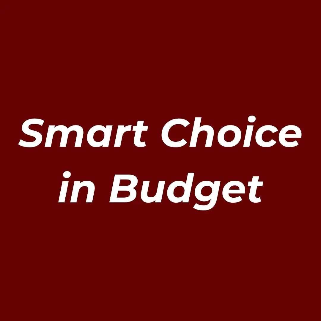 Smart Choice in Budget 1