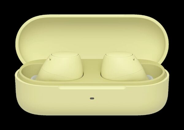 SONY WF-C510 Truly Wireless Earbuds - Image 3