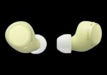 SONY WF-C510 Truly Wireless Earbuds - Image 2
