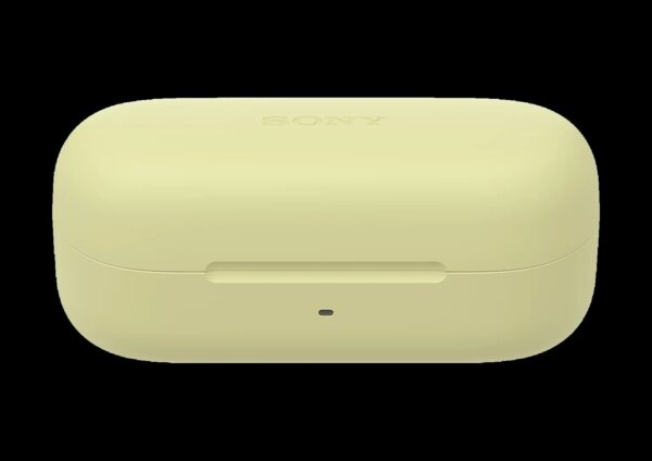 SONY WF-C510 Truly Wireless Earbuds - Image 5